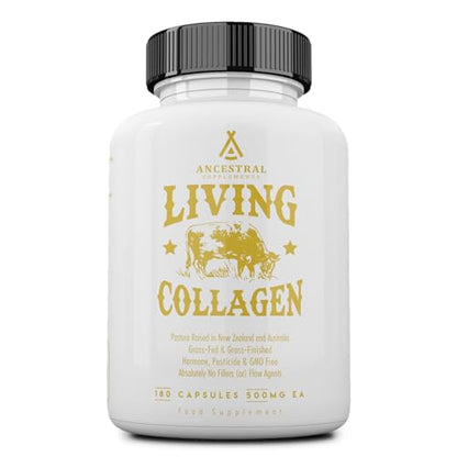 Ancestral Supplements Grass Fed Beef Living Collagen Nutritional Powder Supplement