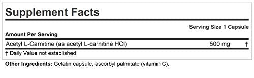 ANDREW LESSMAN Acetyl L-Carnitine 500 mg - 60 Capsules - Support for Nervous System