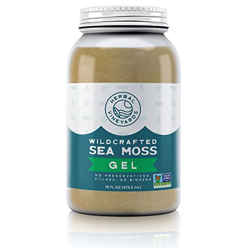 Herbal Vineyards Natural Organic Wildcrafted Gold Raw Sea Moss Gel for Immune Support