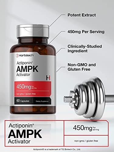 AMPK Metabolic Activator 450 mg | 60 Capsules | Non-GMO, Gluten Free | Jiaogulan Gynostemma