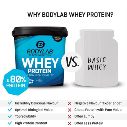 Bodylab24 Whey Protein Powder Milk Chocolate 1kg, Protein-Shake for Your Workout