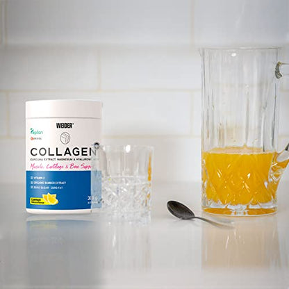 Weider Collagen Plus. Powder Preparation with Collagen peptides (Peptan), hyaluronic Acid