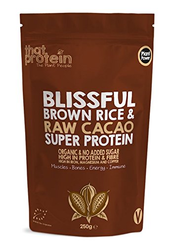 Vegan Protein Powders - Gluten Free, Low FODMAP, & Vegan Chocolate Protein Powder