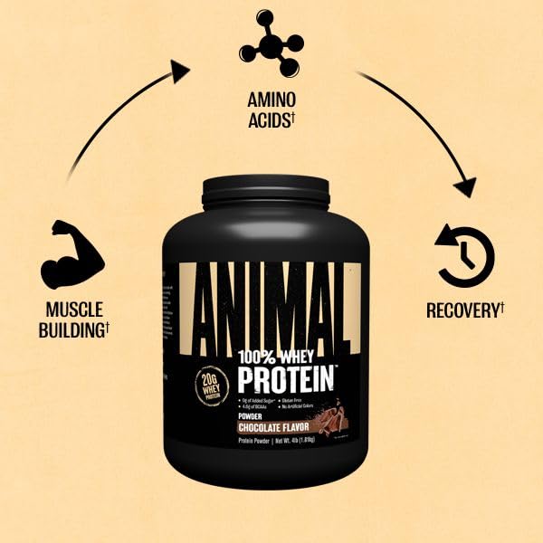 Animal 100% Whey Protein Powder – Whey Blend for Pre- or Post-Workout, Recovery