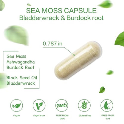 VPKIN Organic Sea Moss Capsules with Bladderwrack,Burdock Root and Black Pepper