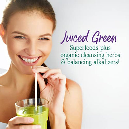 Garden of Life Raw Organic Perfect Food Alkalizer & Detoxifier Juiced Greens Superfood