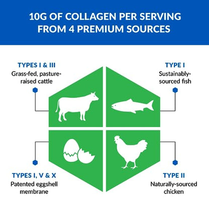 BioTrust Ageless Multi Collagen Peptides Powder – 5 Types (I, II, III, V, X) – Fruit Punch