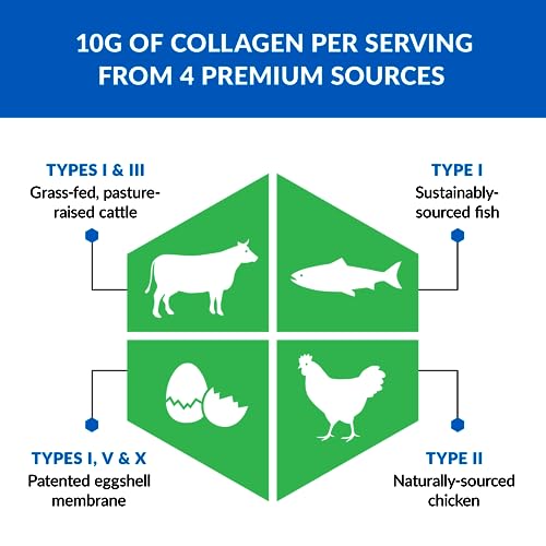 BioTrust Ageless Multi Collagen Peptides Powder – 5 Types (I, II, III, V, X) – Unflavored