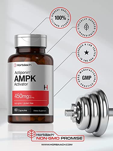 AMPK Metabolic Activator 450 mg | 60 Capsules | Non-GMO, Gluten Free | Jiaogulan Gynostemma