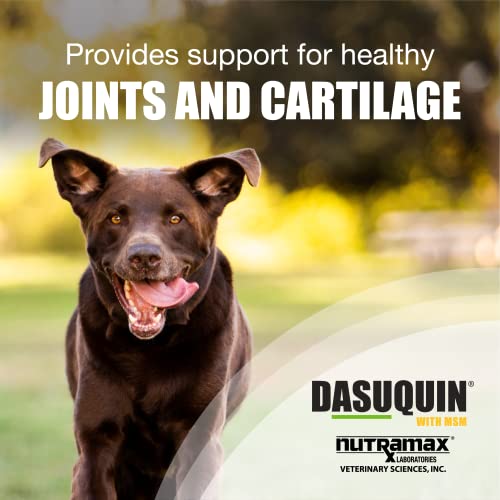 Nutramax Laboratories Dasuquin with MSM Joint Health Supplement for Large Dogs