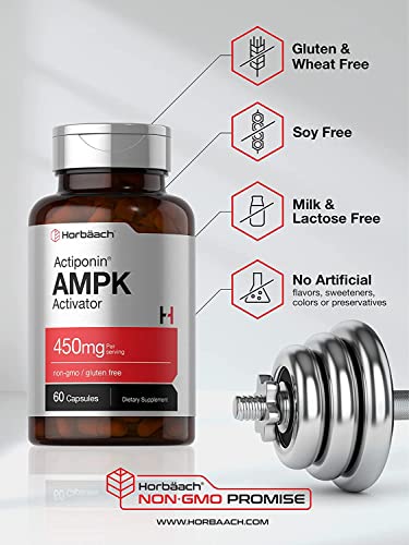 AMPK Metabolic Activator 450 mg | 60 Capsules | Non-GMO, Gluten Free | Jiaogulan Gynostemma