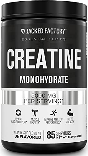 Jacked Factory Creatine Monohydrate Powder 425g - Creatine Supplement for Muscle 