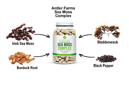 Antler Farms – 100% Pure Sea Moss Complex, 130 Capsules, Organic & Wildcrafted Irish