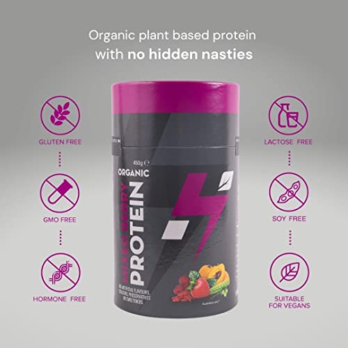 Hylife Nutrition - Organic Protein Powder - Mixed Berry Vegan Protein Powder (450g - 15 Servings)