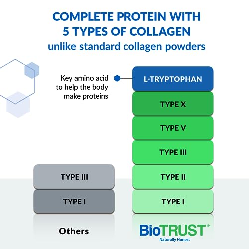 BioTrust Ageless Multi Collagen Peptides Powder – 5 Types (I, II, III, V, X) – Fruit Punch