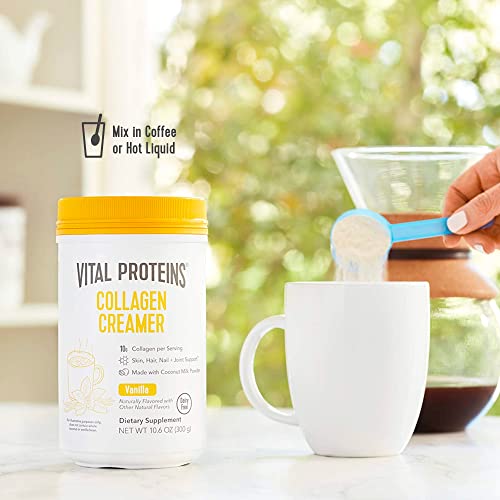 Vital Proteins Collagen Coffee Creamer, Non-dairy & Low Sugar Powder with Collagen