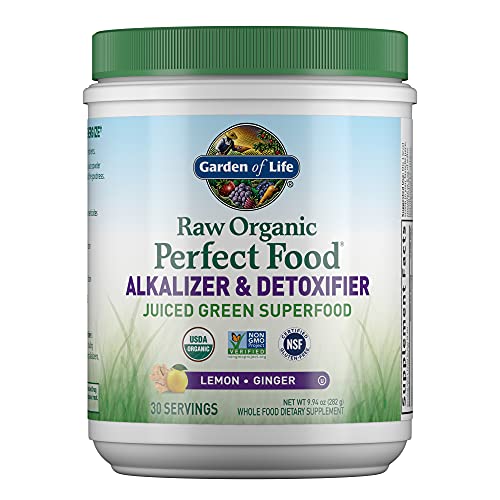 Garden of Life Raw Organic Perfect Food Alkalizer & Detoxifier Juiced Greens Superfood 