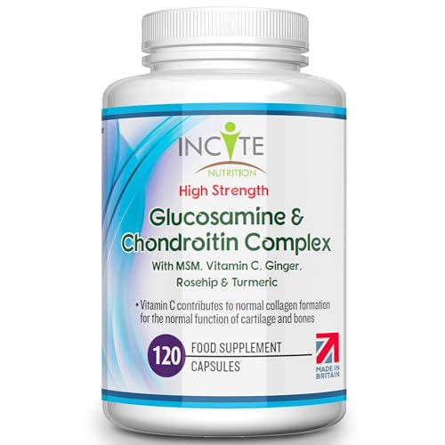 Glucosamine and Chondroitin High Strength Complex with MSM, Vitamin C, Ginge