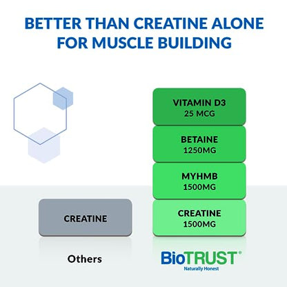 BioTrust Ageless Muscle Builder - Micronized Creatine Monohydrate Powder with HMB