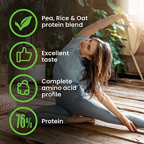 VPlab Vegan Protein Powder 500g - 16 Servings, 100% Plant Based and Natural Vegan Protein Shake