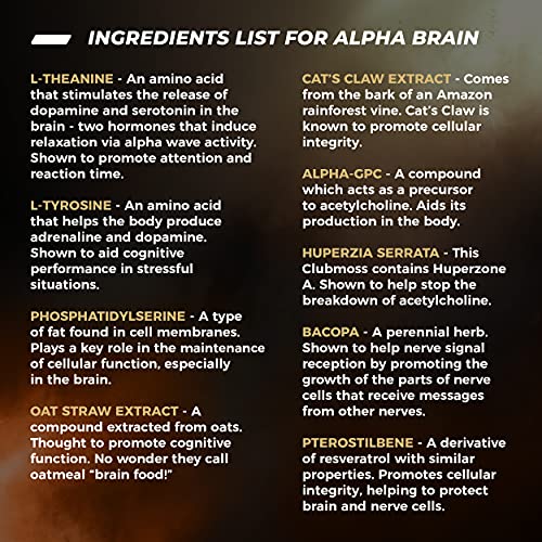 ONNIT Alpha Brain (60ct) - Over 1 Million Bottles Sold - Premium Nootropic Brain Supple