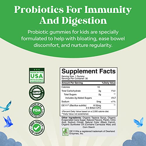 Immune Booster Kids Probiotic Gummies - Bacillus Subtilis Probiotic for Kids Upset Stomach