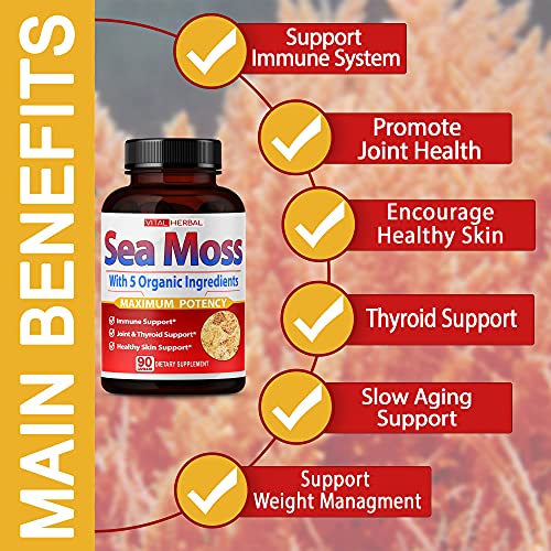 VITAL HERBAL Irish Sea Moss Capsules Equivalent to 5450mg - Maximum Potency