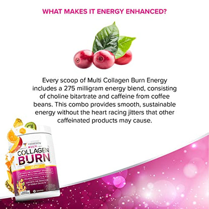 Multi Collagen Burn: Multi-Type Hydrolyzed Protein Peptides with Hyaluronic Acid, Vitamin