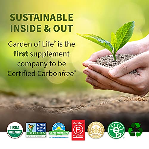 Garden of Life Raw Organic Fit Vegan Protein Powder Coffee, 28g Plant Based Protein