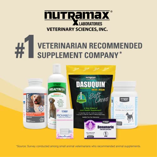 Nutramax Laboratories Dasuquin with MSM Joint Health Supplement for Large Dogs