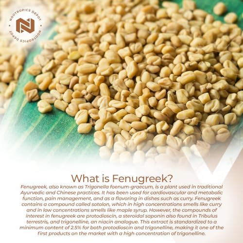 Nootropics Depot Fenugreek Extract Capsules | 500mg | 60 ct | 2.5% Trigonelline