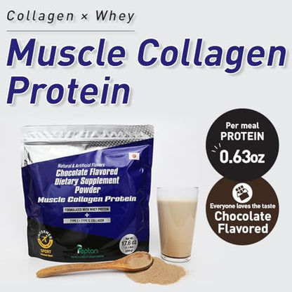 Muscle Colllagen Protein Collagen Peptides Powder Chocolate Flavored Dietary Supplement