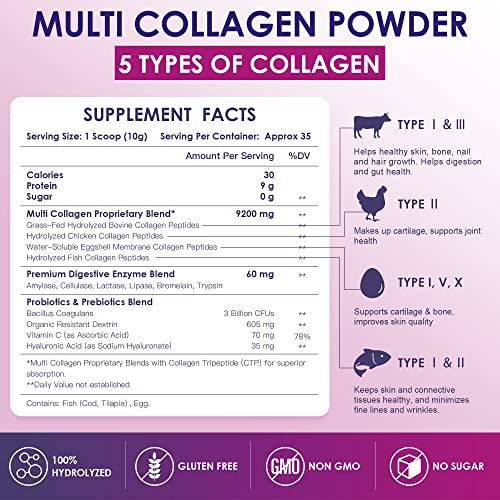 NATURE TARGET Multi Collagen Peptides Powder - Type I, II, III, V, X - Hydrolyzed Collagen