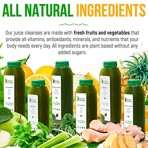 Raw Fountain 7 Day Green Juice Cleanse, All Natural Raw, Vegan Detox, Cold Pressed