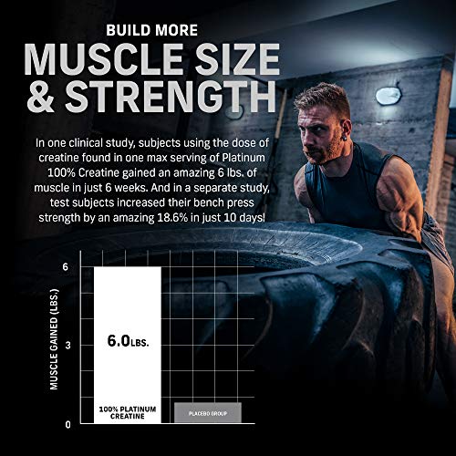 Creatine Monohydrate Powder MuscleTech Platinum Pure Micronized Muscle