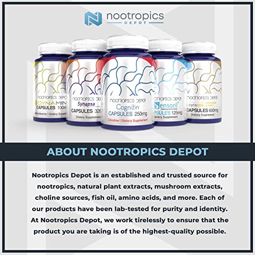 Nootropics Depot Agmatine Sulfate Capsules | 250mg | 240 Count | Energy Supplement | Amino Acid Derivative | Supports Physical Strength and Workout Recovery | Nitric Oxide Booster