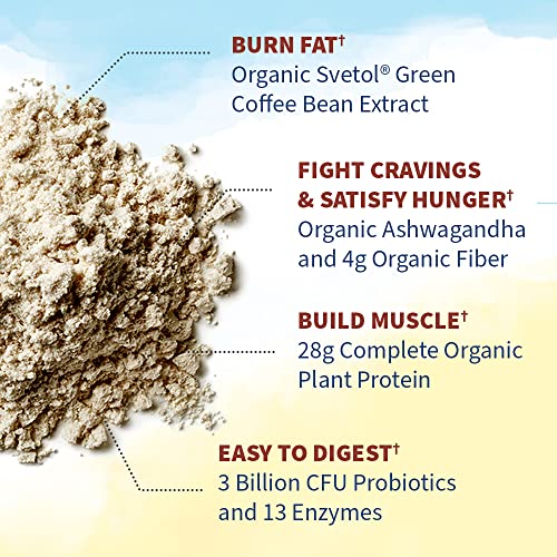 Garden of Life Raw Organic Fit Vegan Protein Powder Coffee, 28g Plant Based Protein