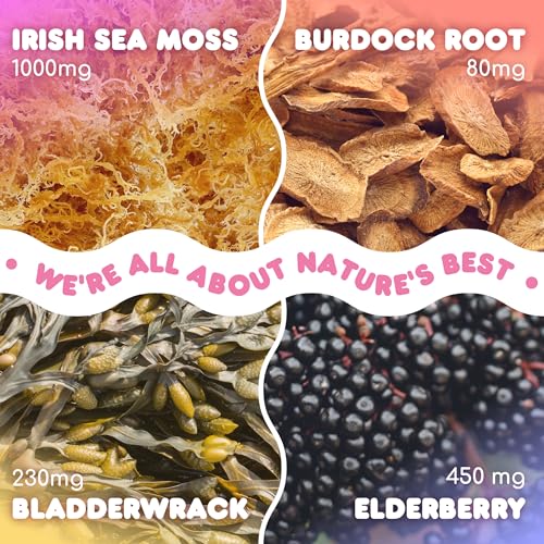 Biolore Sea Moss Gummies with Elderberry, Contains Irish Sea Moss, Organic Extract