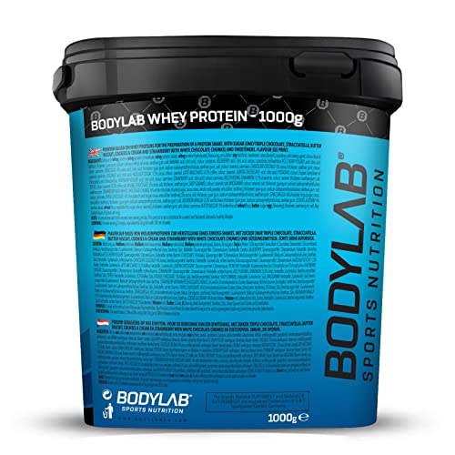 Bodylab24 Whey Protein Powder Milk Chocolate 1kg, Protein-Shake for Your Workout