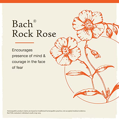 Bach Original Flower Remedies, Rock Rose for Courage (Non-Alcohol Formula), Natural Homeopathic