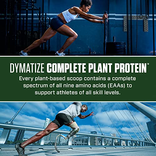 Dymatize Vegan Plant Protein, Smooth Vanilla, 25g Protein, 4.8g BCAAs, Complete