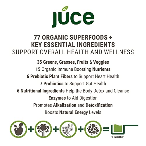 Terra Kai Organics JUCE Green Superfood Powder, Organic Fruits and Veggies Supplement