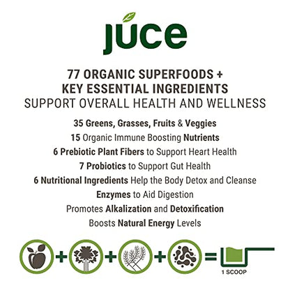 Terra Kai Organics JUCE Green Superfood Powder, Organic Fruits and Veggies Supplement