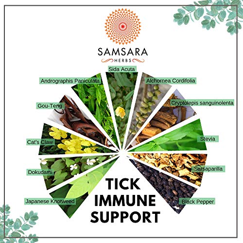 Samsara Herbs Tick Immune Support - The Original Herbal Formula (240 Capsules)