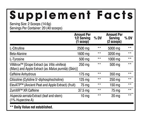 Arms Race Nutrition Harness Pre-Workout, 20 Servings (Key West)