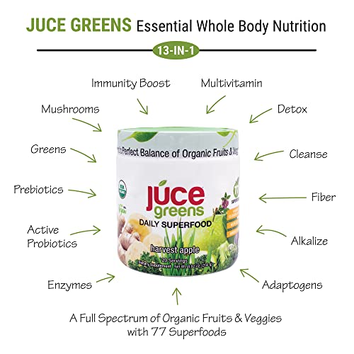 Terra Kai Organics JUCE Green Superfood Powder, Organic Fruits and Veggies Supplement