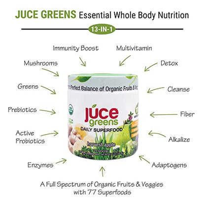 Terra Kai Organics JUCE Green Superfood Powder, Organic Fruits and Veggies Supplement