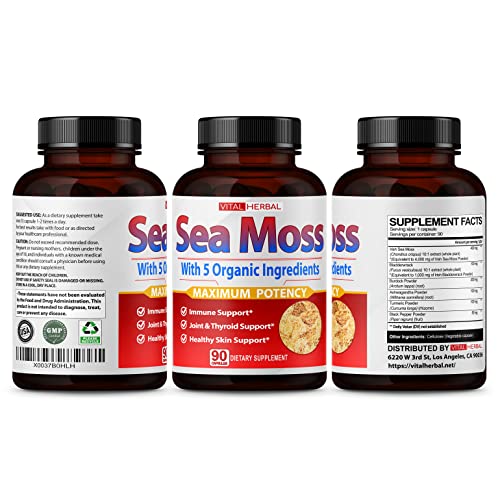 VITAL HERBAL Irish Sea Moss Capsules Equivalent to 5450mg - Maximum Potency