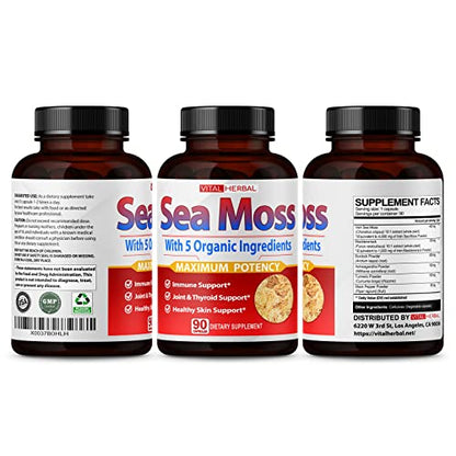 VITAL HERBAL Irish Sea Moss Capsules Equivalent to 5450mg - Maximum Potency