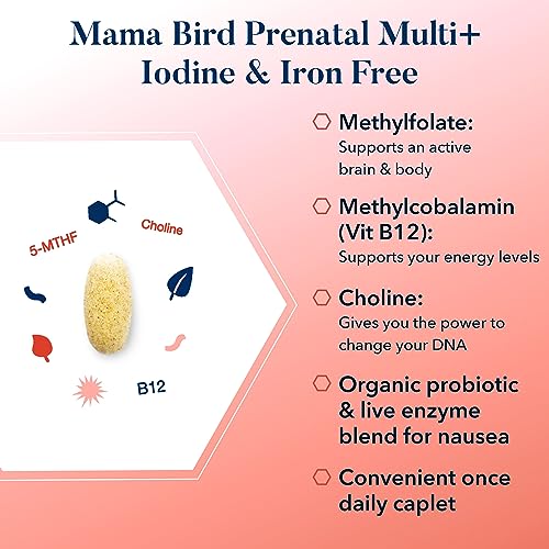 Best Nest Wellness Mama Bird Prenatal Vitamin Iron Free, No Iron or Iodine, Methylfolate